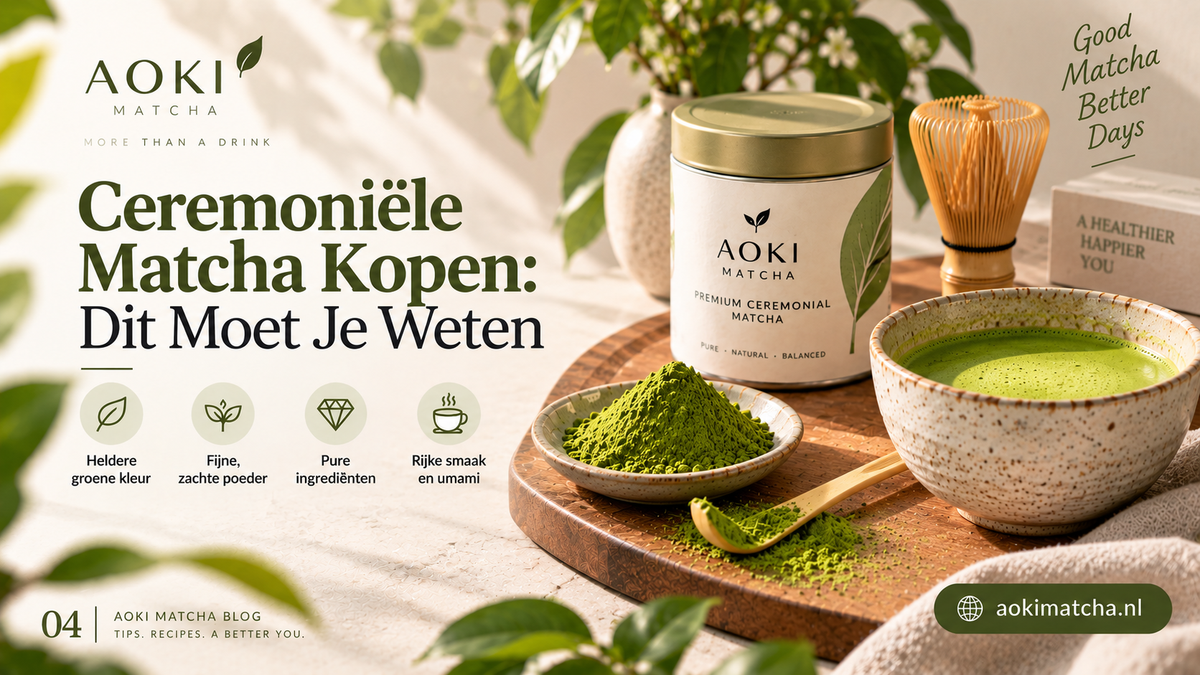 Ceremoniële Matcha Kopen: Dit Moet Je Weten