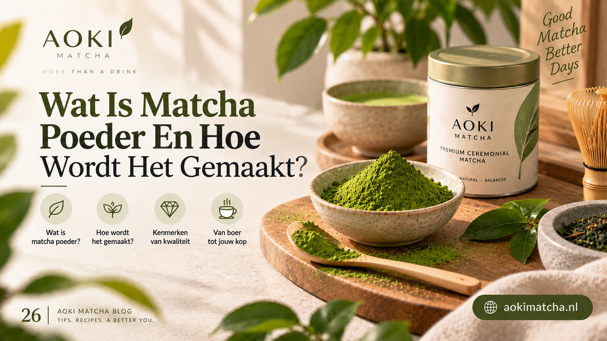 Wat Is Matcha Poeder En Hoe Wordt Het Gemaakt?